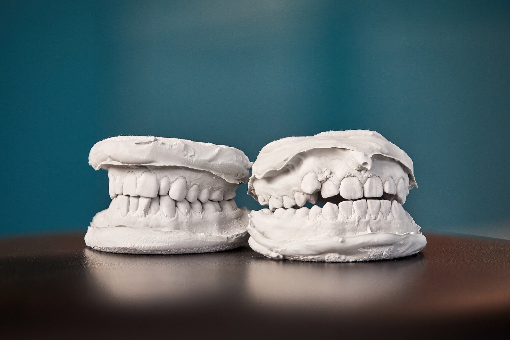 макеты челюсти для стоматологов
